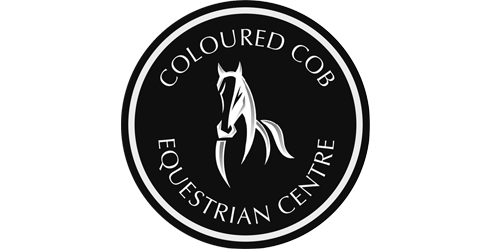 Coloured Cob Equestrian Centre in Nottinghamshire
