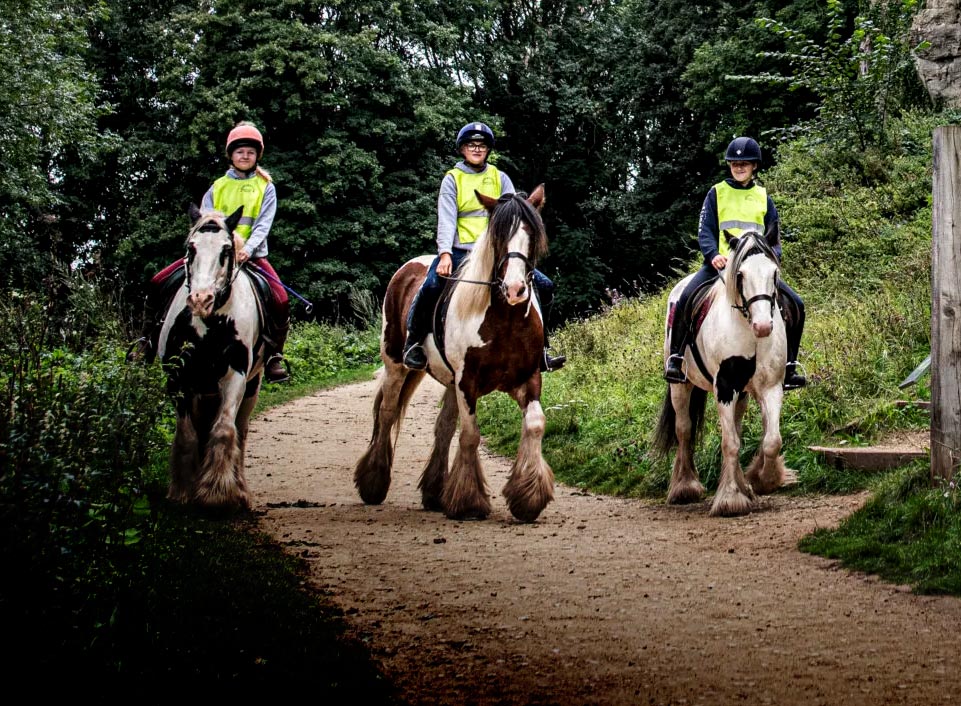 Nottinghamshire Pony Trekking for children and adults of all ages and abilities
